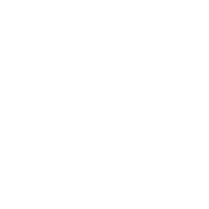 Innovator Icon